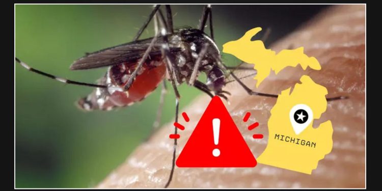 Another Lethal Virus Being Spread in Michigan by the 'World's Most Dangerous' Creature