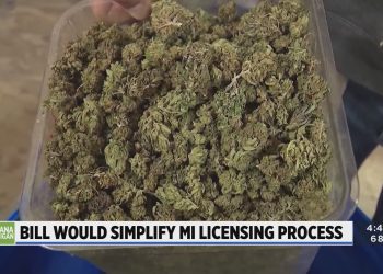 Bipartisan Support for MI Bills that Combine Cannabis Licenses