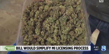 Bipartisan Support for MI Bills that Combine Cannabis Licenses