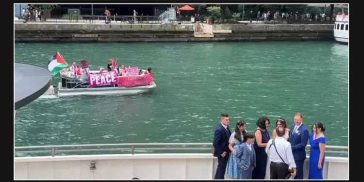 Family taking wedding photos in Chicago interrupted by pro-Palestinian protesters