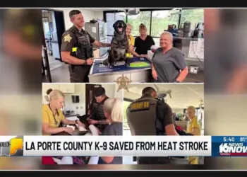 K-9 officer in LaPorte County miraculously survives heat stroke