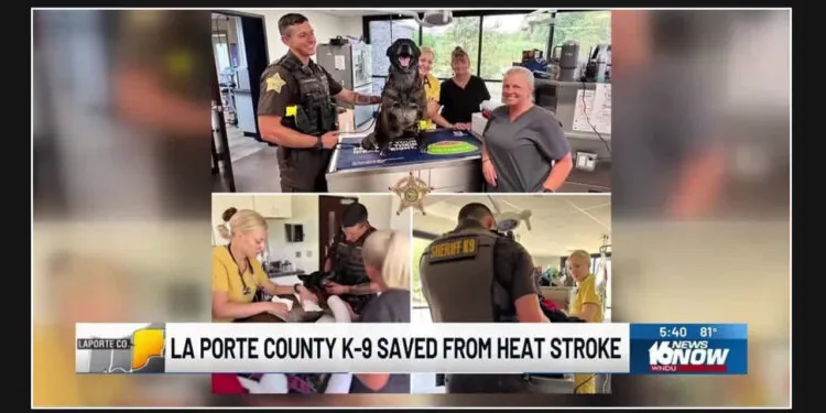 K-9 officer in LaPorte County miraculously survives heat stroke