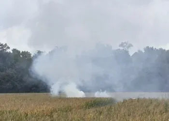 Iowa small plane crash in Indiana cornfield claims the lives of all passengers